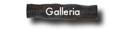 galerija
